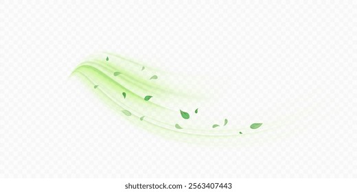 Green bright flow with flying tea and mint leaves. Green swirl on white background. Design for cooling drinks, organic substances, medicine, cosmetics, pharmaceuticals. Vector