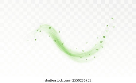 Green bright lines swirl with flying tea and mint leaves on white background. Design for cooling drinks. Vector