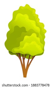 Green bright spring high tree with a lush crown, thin brown trunk and branches isolated on white. Vector illustration of big plant with foliage round shape, landscape element in cartoon concept