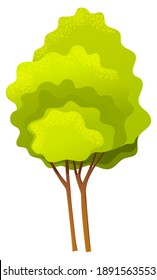 Green bright spring high tree with a lush crown, thin brown trunk and branches isolated on white. Vector illustration of big plant with foliage round shape, landscape element in cartoon concept