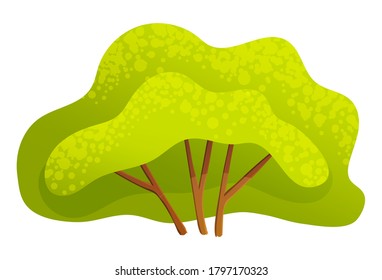 Green bright spring tree or bush with a lush crown, thin brown trunk and branches isolated on white. Vector illustration of big plant with foliage round shape, landscape element in cartoon concept