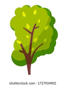Green bright tree with a lush crown, thick brown trunk and branches isolated on white background. Flat vector illustration of big plant with foliage round shape, landscape element in cartoon concept