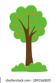 Green bright tree with a lush crown and orange fruits, thick brown trunk and branches isolated on white. Flat vector illustration of big plant with foliage round shape, landscape cartoon element