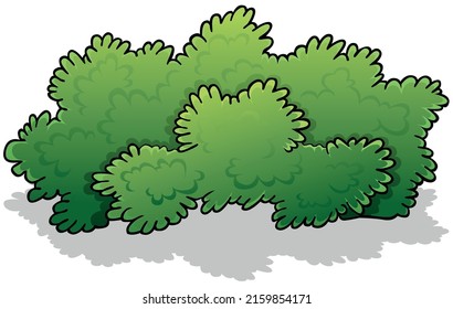 Green Broad Shrub Colored Cartoon Illustration Stock Vector (Royalty ...