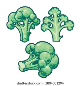 Green Broccoli botanical hand drawn Isolated vector illustration. Organic vegetarian product. Isolated on white background. Broccoli cutaway. 