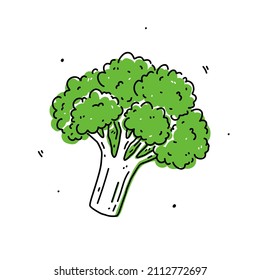 Green broccoli cabbage isolated on white background. Organic healthy food. Vector hand-drawn illustration in doodle style. Perfect for cards, logo, decorations, recipes, various designs.