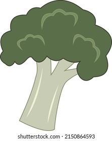 Green broccoli flat vector art. Broccoli cartoon vector illustration for graphic design and decorative element
