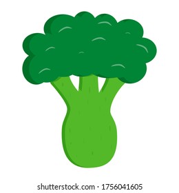 Green broccoli flat vegetable on white background for design. Vector isolated sign set. Natural product. Flat vector illustration.