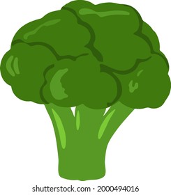 Ilustración vectorial de brócoli verde dibujada a mano. Ingredientes vegetarianos de brócoli fresco para ensalada. Alimentos orgánicos para la dieta. 