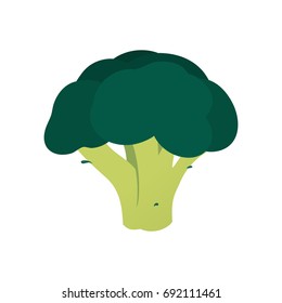 Green broccoli healthy vegetable symbol icon in flat style. Vector illustration