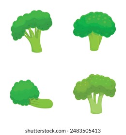 Green broccoli icons set cartoon vector. Organic broccoli cabbage on stalk. Healthy nutrition