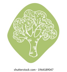 Green broccoli illustration isolated on white background. Vector