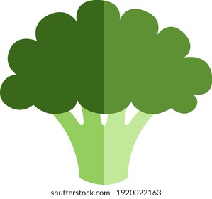 Green broccoli, illustration, vector on white background.