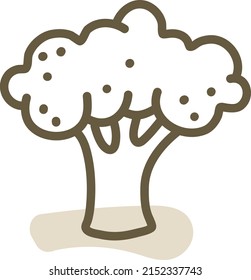 Brocoli verde, ilustración, vector sobre un fondo blanco.