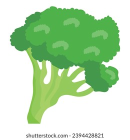 green broccoli ilustration vector isolated