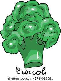 Green broccoli inflorescence drawing. Hand drawn healthy cabbage vegetable vector icon with text.