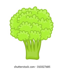 green broccoli isolated illustration on white background