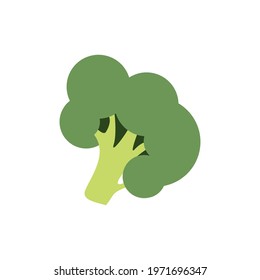 Green broccoli isolated on white background vector icon