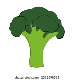 green broccoli isolated on white like a tree