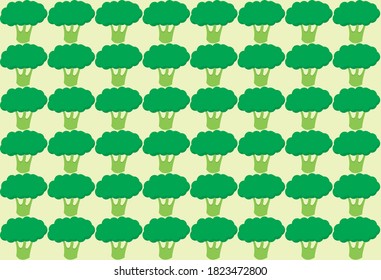 Green broccoli on a white background.