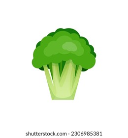 Brocoli verde sobre fondo blanco