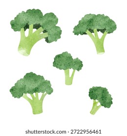 Brócolis verde. Ilustração em aquarela vetorial
