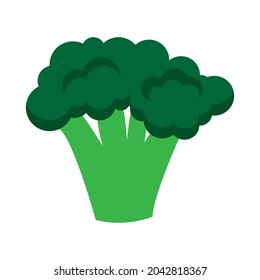 Green broccoli, vector illustration in cartoon flat stye. Food and vegetable concept. Print for recipes, restaurant, supermarket, market place. Vegetarian fresh food product