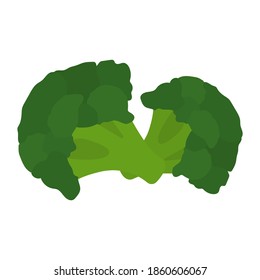 Green broccoli. Vector image, eps 10