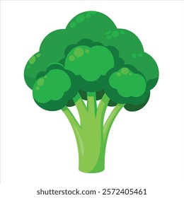 green broccoli vector with white background