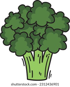 Green Broccoli Vegetable Illustration Food