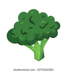 Green broccoli vegetable vector illustration isolated on square white background. Simple flat cartoon art styled drawing. Healthy plant diet.