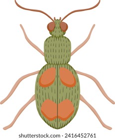 Green and Brown Beetle Illustration	