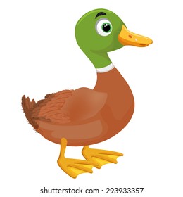 Green and brown duck