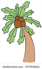 green and brown palm tree with coconuts, vector color doodle element with black outline