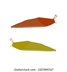 Green and brown slug. Set of slippery insects. Flat cartoon illustration isolated on white background