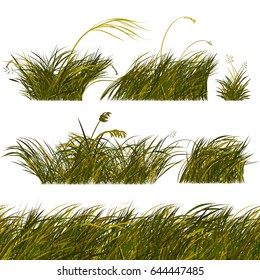 Green and Brown Steppe Grass Brushes and Templates for Design. Vector Illustration Isolated on White Background