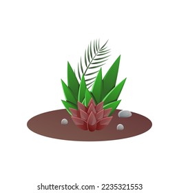 Green and brown succulents growing in ground of pot. Vector illustration of tropical house plants for interior decor. Cartoon cacti for indoor home garden isolated on white. Terrarium, nature concept