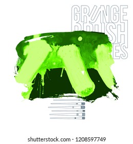 Green brush stroke and texture. Grunge vector abstract hand - painted element. Underline and border design.