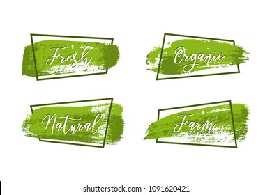 Green brush strokes with different fresh food words and dark green frame isolated on white background. Vector design elements.