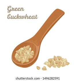 Green buckwheat in wooden spoon isolated on white background. Vector illustration of heap of healthy grains in cartoon flat simple style.