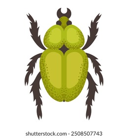 Green bug, beetle. Colorful insect. Nature and biodiversity insect spece. Beetle vector flat illustration.