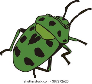 Green Bug Isolated .
