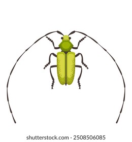 Green bug, long eared whisker beetle. Colorful insect. Nature and biodiversity insect spece. Beetle vector flat illustration.