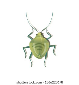 Green bug on white background. Vector illustration.