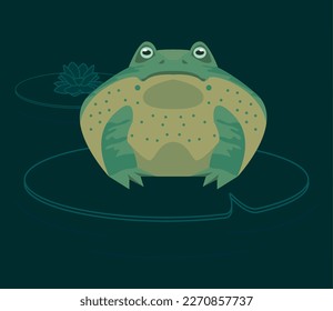 green bull frog amphibian animal