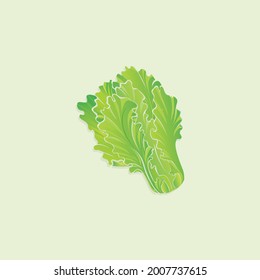 Green bundle of lettuce vector flat style illustration, Cartoon style lettuce drawn flat vector icon isolated on white. Fresh lettuce leaf symbol icon. Green lettuce illustration