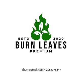 green burning leaves logo, fire and leaf logo icon vector template