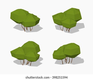 Green bush. 3D lowpoly isometric vector illustration. The set of objects isolated against the white background and shown from different sides