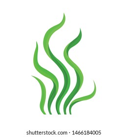 Green bush algae. Vector illustration on white background.