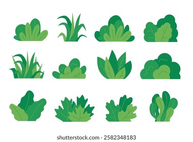 Green bush blossom. grass bush vector illustration